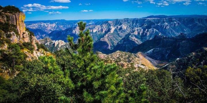 MEKSYK - Barranca del Cobre i Płw. Kalifornijski