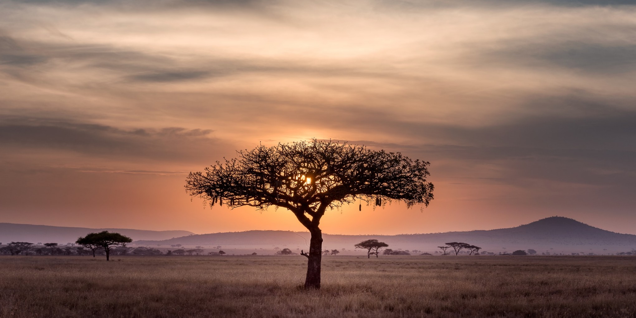 KARIBU TANZANIA – W SERCU AFRYKI